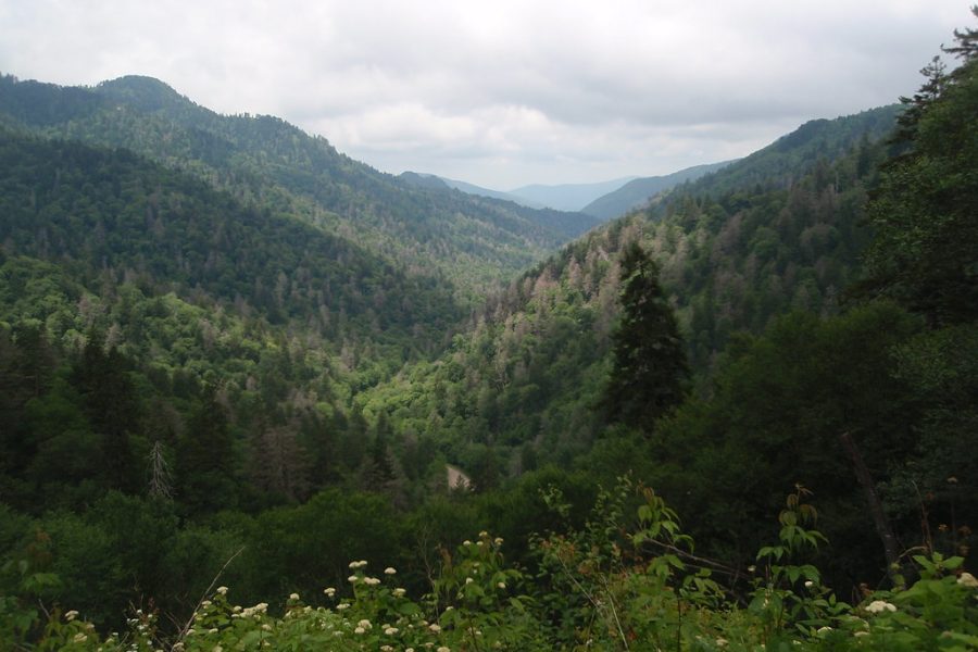 Why Go to Gatlinburg